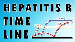 Hepatitis B Serology Patterns for Accurate Diagnosis [upl. by Ahsoek]