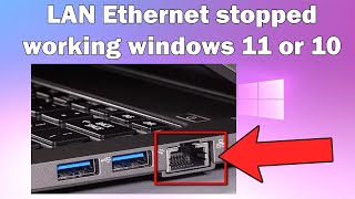 How to Fix LAN Ethernet Not Working on Windows 1011 [upl. by Zicarelli]