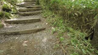 4K Scaling Of Hallasan Mountain Along The Eorimok Hiking Trail JejuDo South Korea Part VIII [upl. by Endor641]