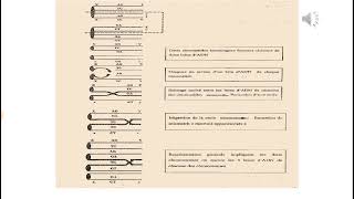 Génétique moléculaire  Cours Genetique 2 [upl. by Yousuf108]