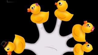 The Finger Family DUCK Family Nursery Rhyme  DUCK Finger Family Songs [upl. by Rolyt]