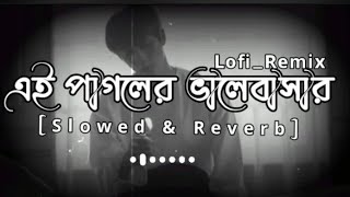 এই পাগলের ভালোবাসা 😒💞 হৃদয় ও মাঝারে Lofi Remix SlowedReverb Saddat Hossain RakibShort46412 [upl. by Eimirej]