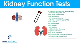 Kidney Function Tests and Interpretation of Results [upl. by Deerc]