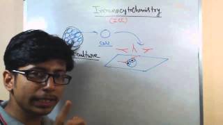 Immunocytochemistry lecture principle and procedure [upl. by Baun]