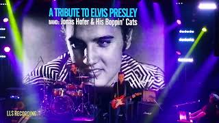 Jonas Hofer amp His Boppin´Cats  Tribute to Rock 2024  Elvis  20240608 [upl. by Mari]