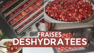 Cest la saison des fraises DESHYDRATER les FRAISES pour aromatiser son YAOURT et GRANOLA maison [upl. by Kral]