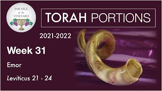 Torah Portions  Week 31  Emor  Leviticus 2124 20212022 [upl. by Inimak]