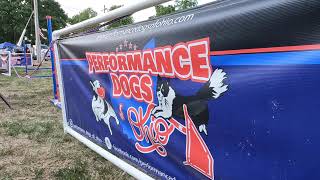 20240809 Performance Dogs of Ohio action [upl. by Kuo]