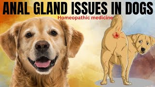 Anal gland issues in dogs । Homeopathic medicine । Dog market is like share market । [upl. by Burkhart]