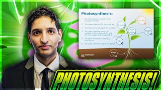 PHOTOSYNTHESIS EXPLAINED GCSE REVISION BIOLOGY KS4 WITH EXAM QUESTIONS [upl. by Aneleve]