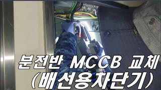 배선용 차단기MCCB 교체하는 전기공사 현장에 일 할 사람 구하기 힘들어서 30년째 손에서 공구를 못놓고 있는 회장님 직접 현장속으로 [upl. by Nnaeiluj]