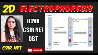 Two Dimensional Gel Electrophoresis  2D Gel Electrophoresis  2D Electrophoresis  CSIR UGC NET [upl. by Aihcsrop]