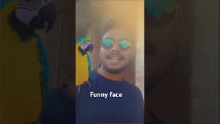 Drinks chika dhinka chikafunny face 🤣😇funny funnyface youtubeshorts shorts q [upl. by Eerized373]