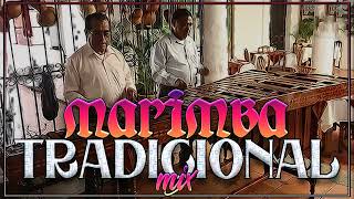 Marimba De Chiapas  Marimba Tradicional Para Bailar [upl. by Anelhtac840]