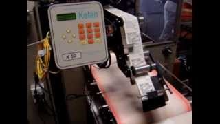 Ketan Automated Equipment  Pressure Sensitive Labeling Systems [upl. by Ahsinauq]