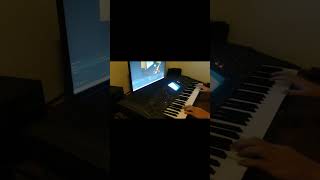 Bee Theme on Yamaha PSR8000 helenspiano bee song theme fun organ memes yamaha [upl. by Euv525]