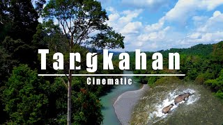 Tangkahan Cinematic  cinematic dji djimini2 [upl. by Janeen]