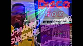 DISCOFOX MEGAMIX DANCE MUSIC BY DJMAMBO 2O24 [upl. by Atekahs]