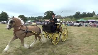 Ellingham and Ringwood Show 2024 Driving Classes [upl. by Krall]