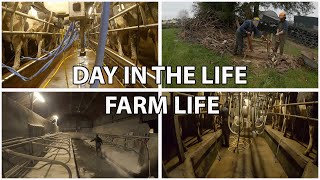 DAY IN MY LIFE  YOUNG DAIRY FARMER [upl. by Suravat]