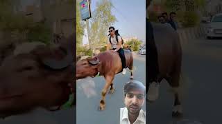 ▶️ greenscreenwith BullRiderVlogs bull comedy mixcontent allinoneshorts allinone [upl. by Ynnaej]