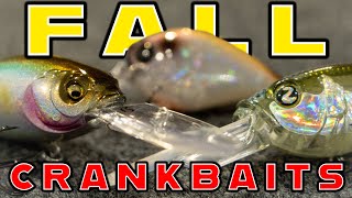 Fall Crankbait Fishing For Bass Everything You Need To Know [upl. by Sonitnatsnok]