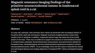 21 MRI of primitive neuroectodermal tumour in lumbosacral spinal cord in a cat [upl. by Jepson]