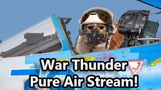 Suffering in War Thunder with aircrafts  discord [upl. by Androw]