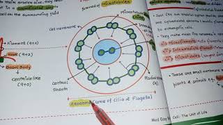 ciliaflagellacentrosome and centriole [upl. by Rohn109]