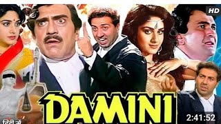 Damini 1993  Sunny Deol  Rishi Kapoor  Meenakshi Seshadri  Full movie explained in hindi [upl. by Orat]