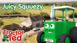 Juicy Squeezy 🫐 BRAND NEW To You Tube Kids  Tractor Ted Full Episode [upl. by Clava800]