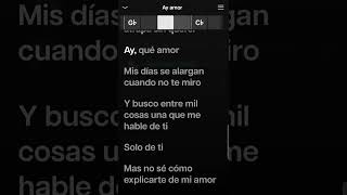 Ana Gabriel  Ay Amor Karaoke Desvocalizado [upl. by Haeckel]