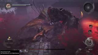 Nioh Ogress Boss Fight Easy Way [upl. by Wilona230]