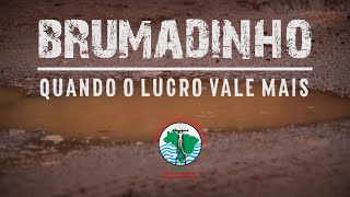 Brumadinho Quando o Lucro Vale Mais [upl. by Ayor901]