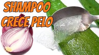 Agregale 2 Ingredientes a Tu Shampoo y tu Cabello No parara de Crecer y Detendrás su Caida [upl. by Eimia]