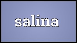 Salina Meaning [upl. by Charlotta839]