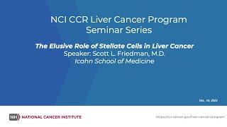 The Elusive Role of Stellate Cells in Liver Cancer [upl. by Ihcekn284]