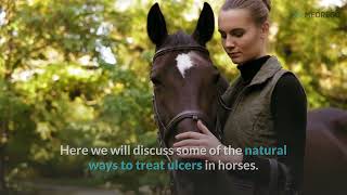 Treating Ulcers In Horses Naturally  Treatment Home Remedies [upl. by Annuahsal147]