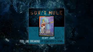 Govt Mule  Feel Like Breaking Up Somebodys Home Visualizer Video [upl. by Erny]