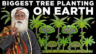 Sadhgurus Plan to plant 242 BILLION trees [upl. by Akilam722]