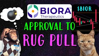 Biora Therapeutics Stock Approval to Rug Pull [upl. by Annodahs]