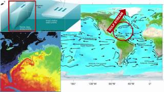 Surface Currents [upl. by Lynna831]