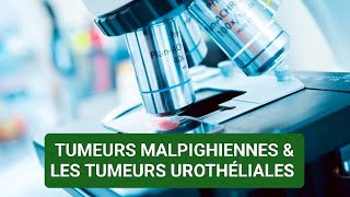 ANAPATHðŸ”¬ TUMEURS MALPIGHIENNESTUMEURS UROTHÃ‰LIALES  3ÃˆME MÃ‰DECINE âœ…âœ… [upl. by Iclehc519]