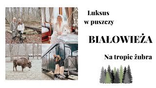 🌟 BIAŁOWIEŻA 🦬🌲 WEEKEND Z BAJKI 🪻CO ZOBACZYC 🌳 GDZIE SPAĆ 🚂 KUCHNIA REGIONALNA 🥟🥮 [upl. by Downs]