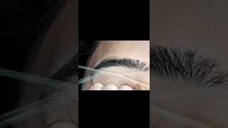 Growth Eyebrow Threading eyebrows eyebrowthreadingtutorialforbeginners shortvideo youtubeshorts [upl. by Osbert]