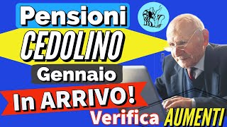 PENSIONI 👉 CEDOLINO GENNAIO CON GLI AUMENTI IN ARRIVO❗️Verifica NUOVI IMPORTI NETTI della pensione ✅ [upl. by Alohcin]