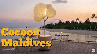 COCOON MALDIVES 5  MALDIVES 🇲🇻 [upl. by Sirrah433]