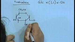 Lecture  17 Carbohydrates II [upl. by Yanarp]