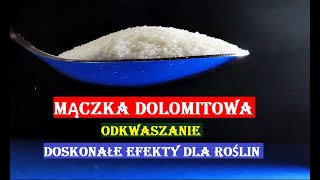 MĄCZKA DOLOMITOWA  NAJSZYBSZE ODKWASZANIE [upl. by Hanimay]