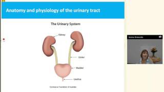 Healthy bladder and bowel habits at school [upl. by Ojyllek]